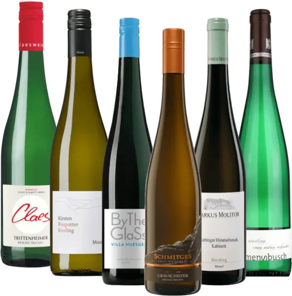 Riesling-matka Mosel-joen varrella