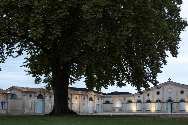 Kellaritalo Château Cantermerle