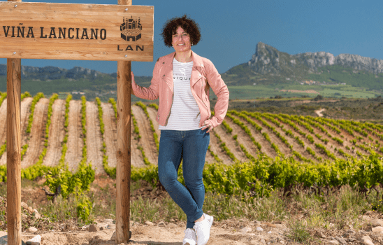 LAN Vine hill LAN Vine hill