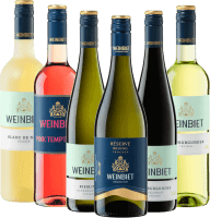 weinbiet Manufakturin 6 viinin maistelupaketti Pfalzinasta