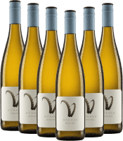 Steinbock Riesling - Weingut Hörner - 6x Vorteilspaket