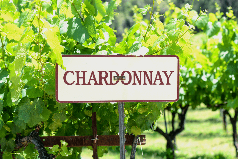 Chardonnay-rivistö Chardonnay-rivistö