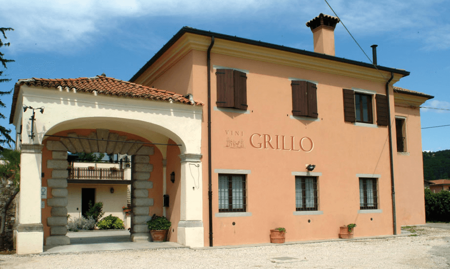 Grillo Iole Talo