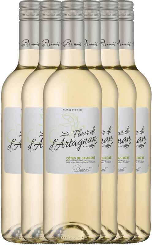 6er Vorteils-Weinpaket - Fleur de d'Artagnan Blanc - Plaimont