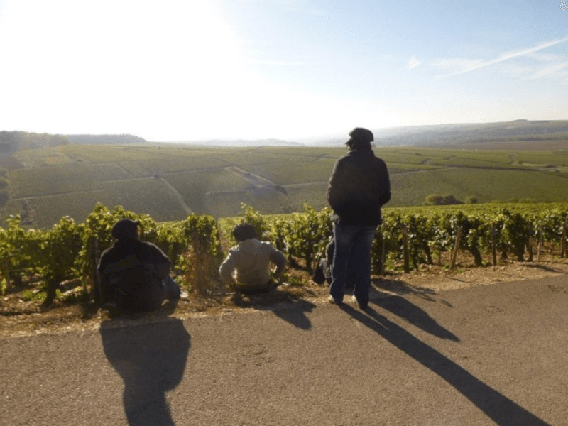 Domaine Servin Vineyards Domaine Servin Vineyards