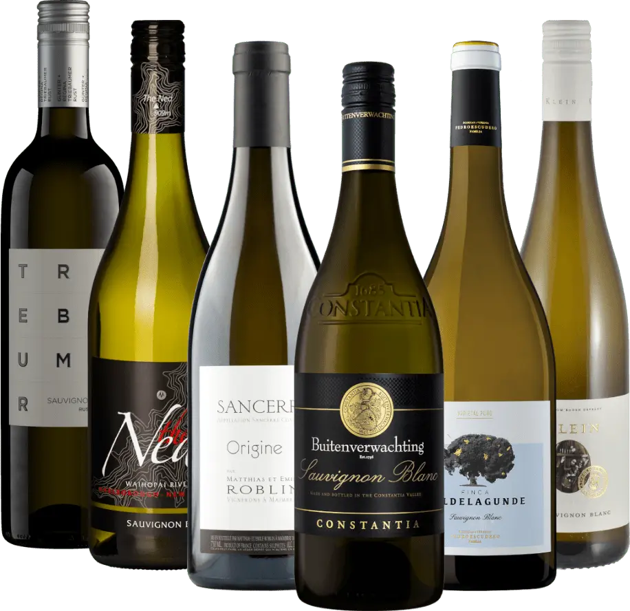 Suosituimmat Sauvignon Blanc -viinimme