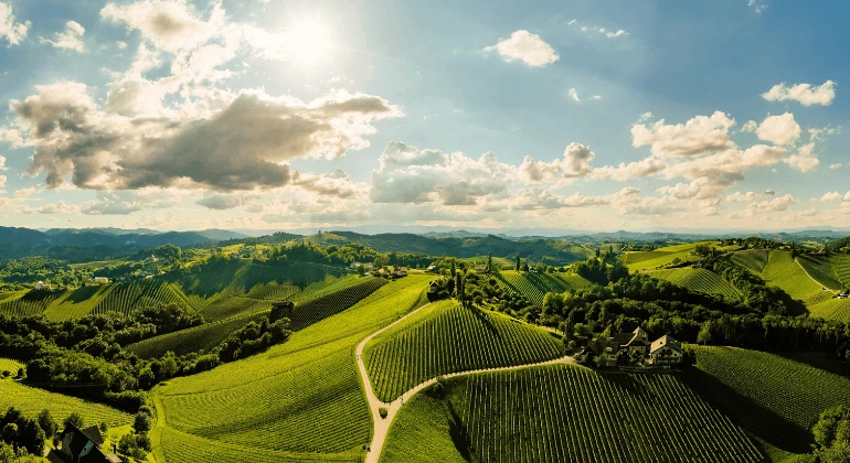 Riesling-matka Saksan halki – 6x rypälelajikepakkaus