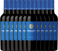 Vorschau: 12er Vorteils-Weinpaket - Amalaya Tinto - Bodega Colomé