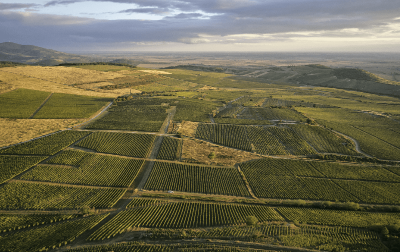Tokaj Hegyalja viinitarhat lintuperspektiivistä Tokaj Hegyalja viinitarhat lintuperspektiivistä
