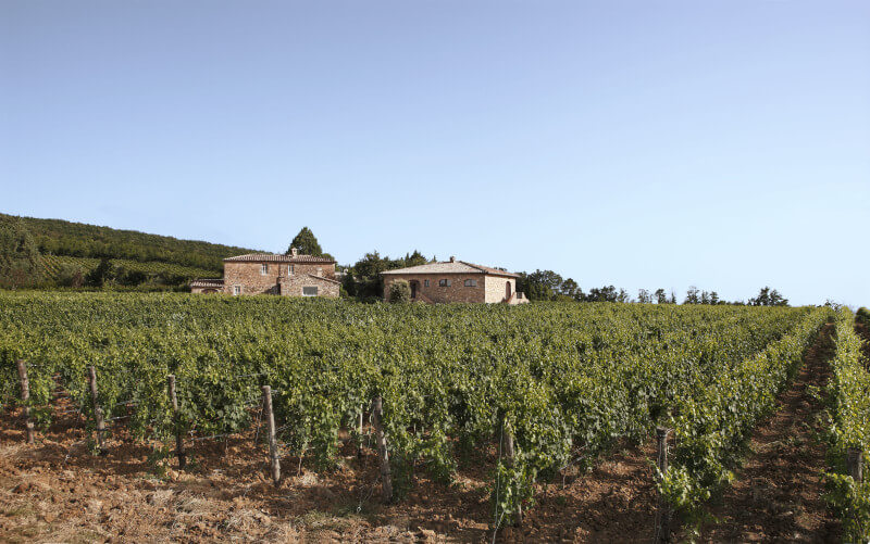 Tenuta le Potazzinen viinitarha Tenuta le Potazzinen viinitarha
