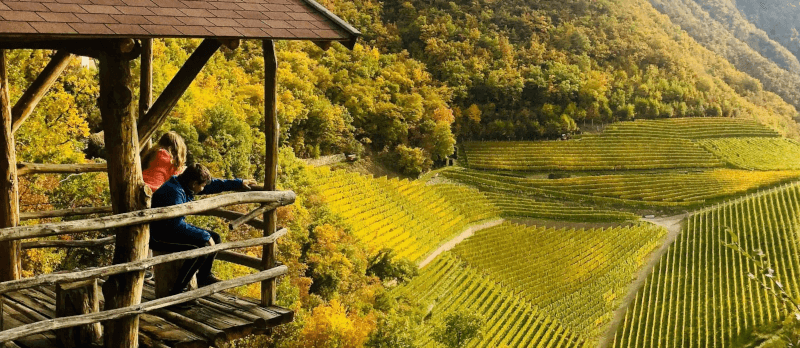 Weinberge im Jahresverlauf Prackfol