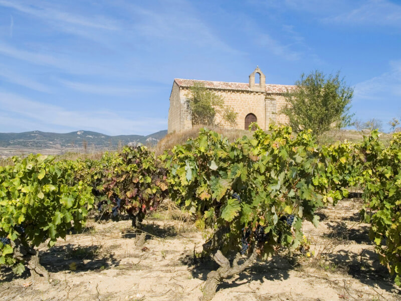 Viinitila Bodegas Taron Viinitila Bodegas Taron
