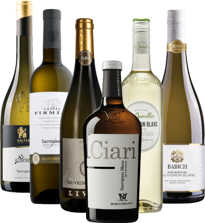 Sauvignon Blancin kiehtova maailma – 6x rypälepakkaus