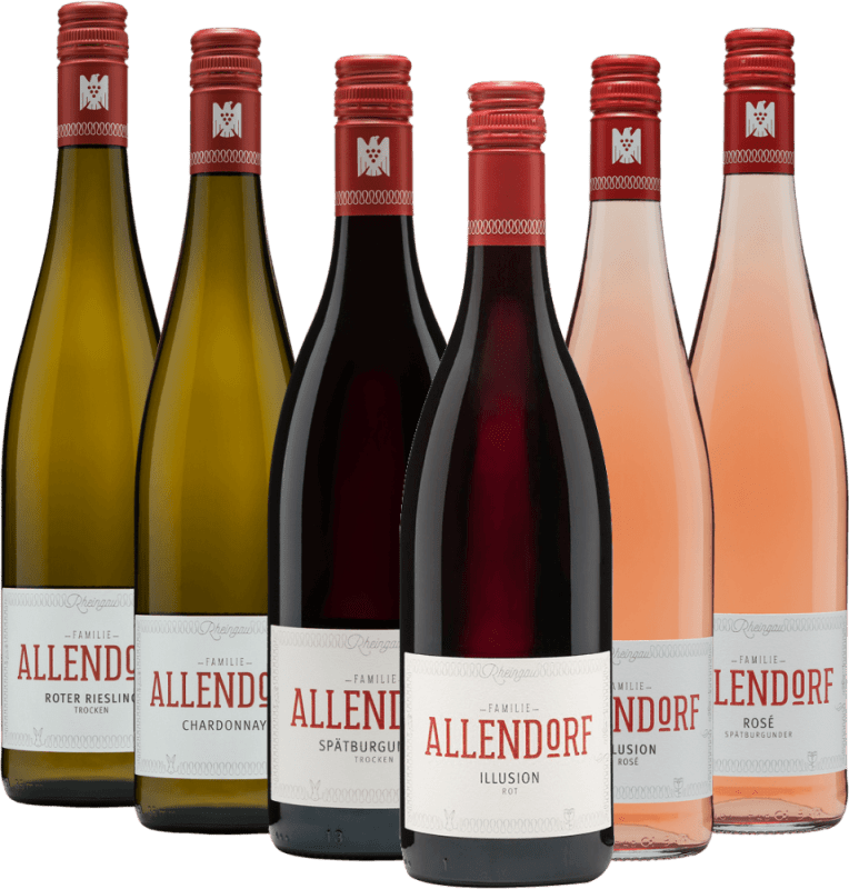 6 pullon maistelupaketti – Allendorfin viinit