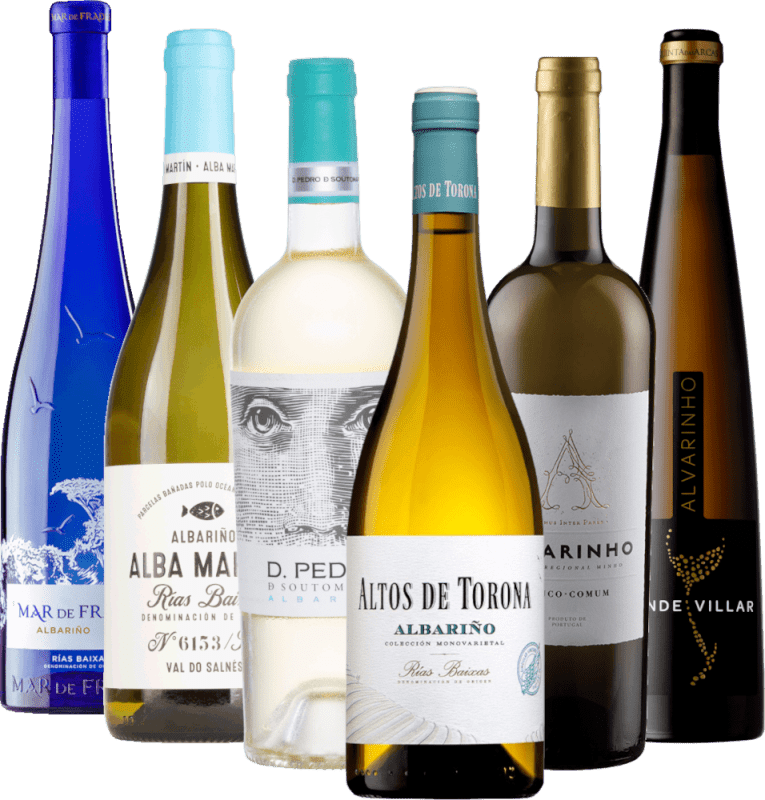 Kuohuviini Iberian niemimaan pohjoisosasta - 6x Alvarinho discovery pack -paketti & Albariño
