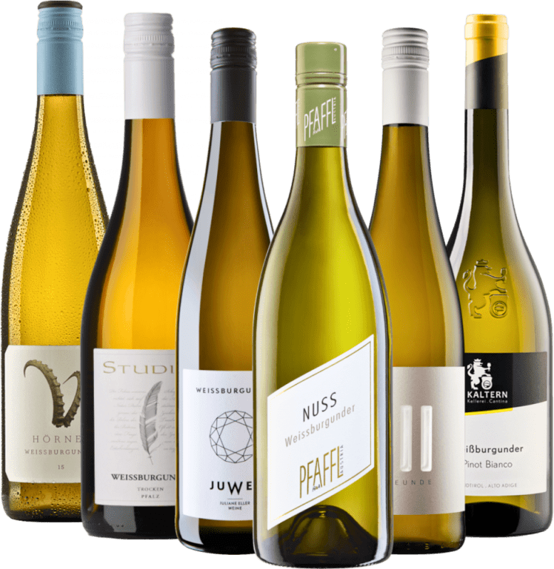 maistiaispakkaus 6 kpl - Hedelmäisen raikas Pinot Blanc