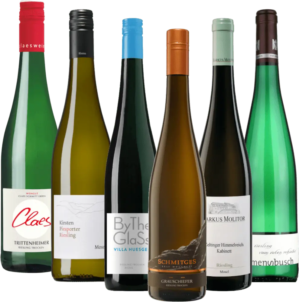 Riesling-matka Mosel-joen varrella
