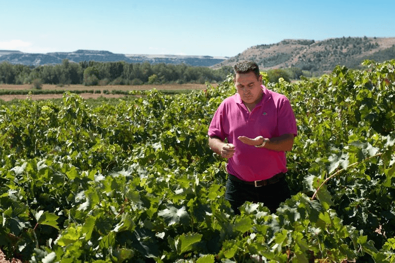 Juan Carlos Vizcarra