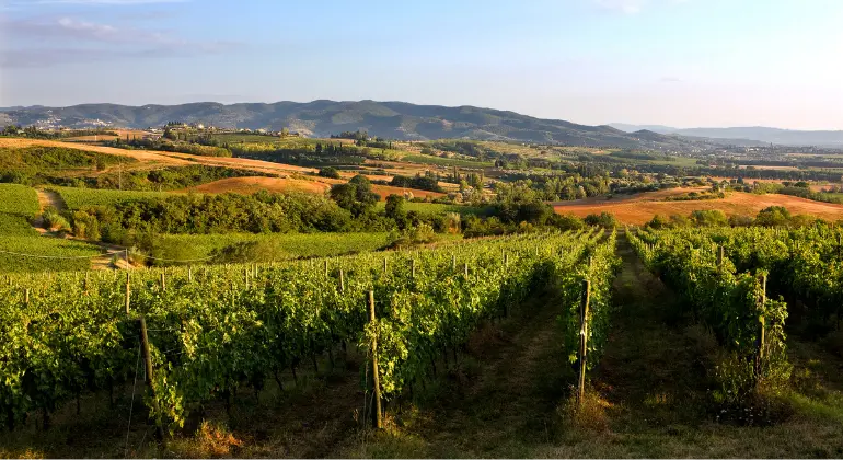 Nautintomatka Umbrian halki Lungarottin kanssa – 6x tutustumispaketti
