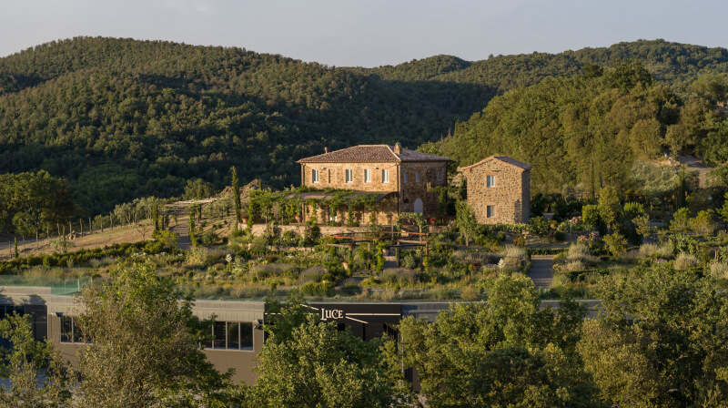 Tenuta Luce -viinitila
