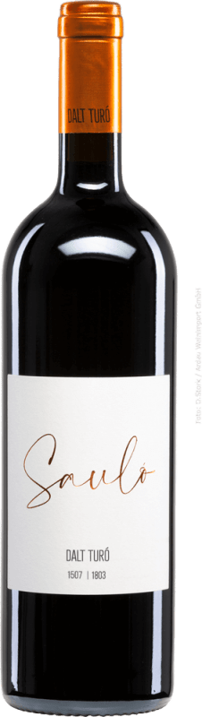 Saulo Negre - Dalt Turó