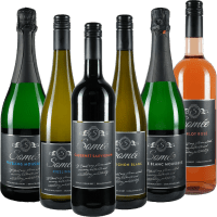Alkoholiton viininautinto Somée kanssa – 6x viinintuottajapaketti