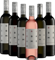 Retkikohde Neusiedler See Triebaumerin kanssa – 6x Tuttu-paketti