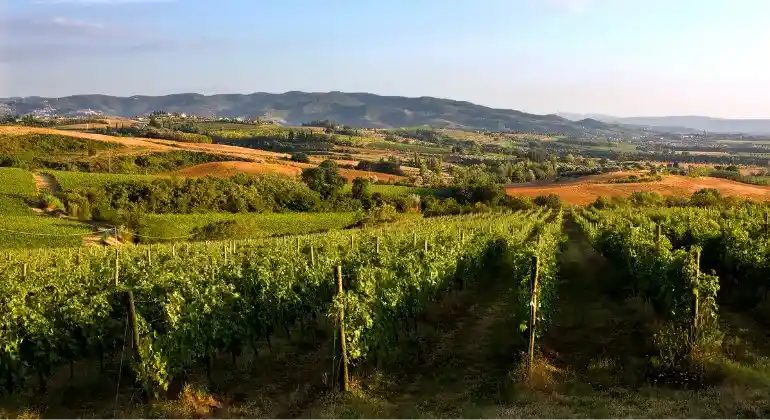 Nautintomatka Umbrian halki Lungarottin kanssa – 6x tutustumispaketti