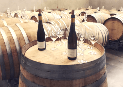 Dreissigackerin kellari Dreissigackerin kellari