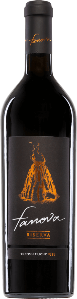 Vorschau: Exclusive Primitivo bestseller VINELLOlta - 3x maistelupaketti