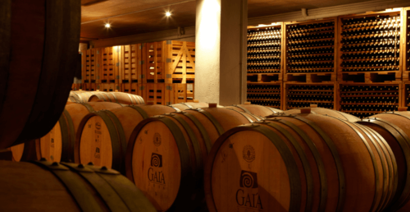 Gaia Winesin tynnyrit