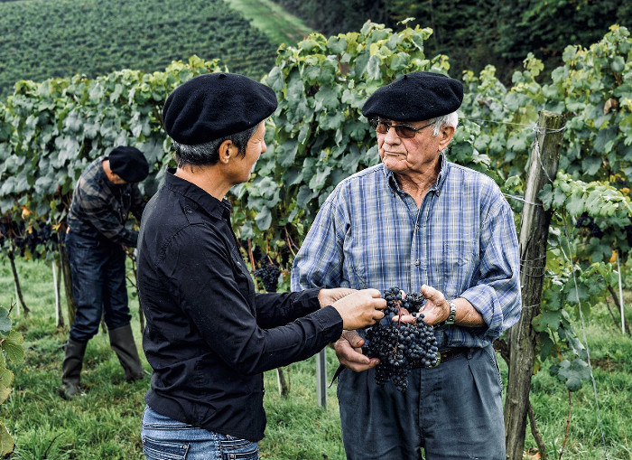 Plaimont ja sen viininviljelijät