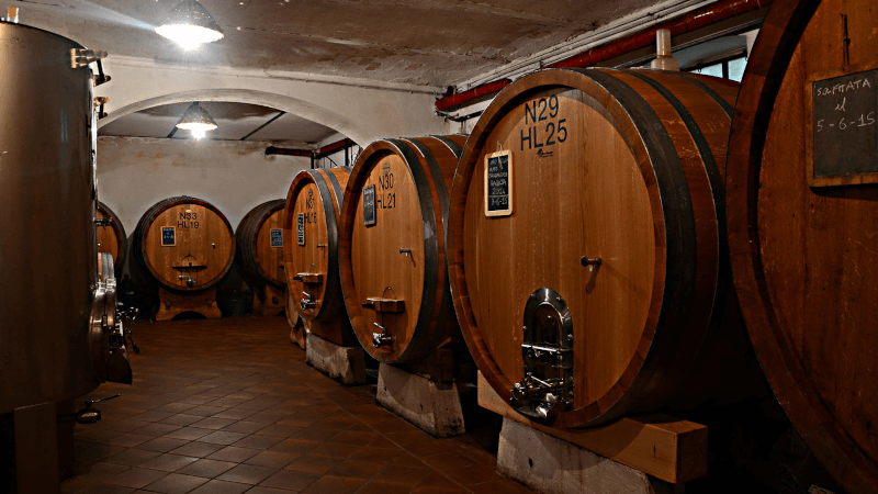 Barbaresco-viinitilan kellarissa