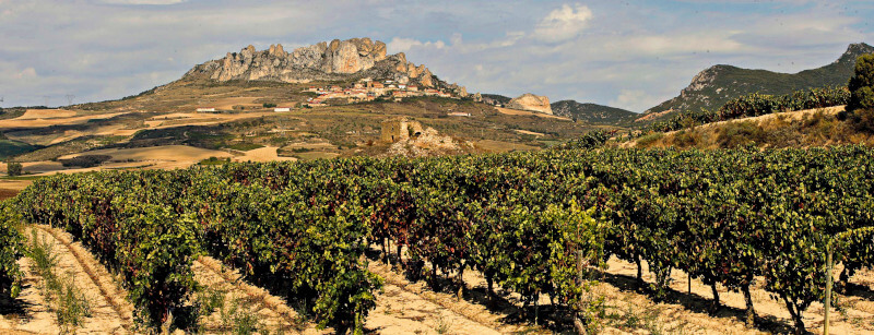 Viinitarha Bodegas Taron Viinitarha Bodegas Taron
