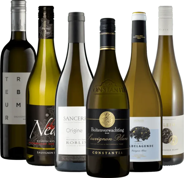 Suosituimmat Sauvignon Blanc -viinimme