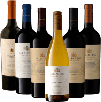 Mendozan sielu Bodegas Salentein - 6 kpl maisteluottelua