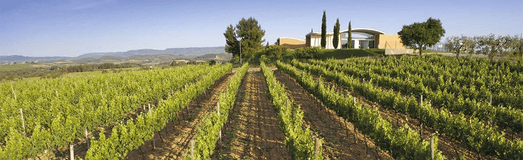 Jean Leonin viinitila Penedesissä