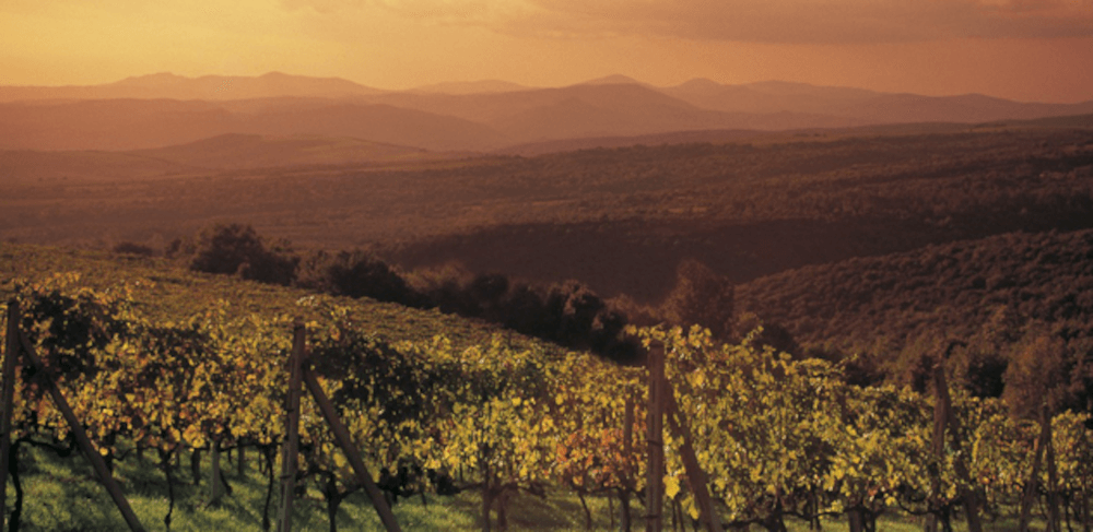 Weijnbauregion Emilia Romagna Weijnbauregion Emilia Romagna