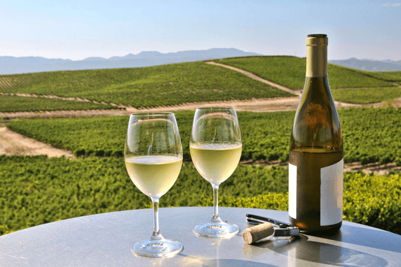 Chardonnay-nautinta