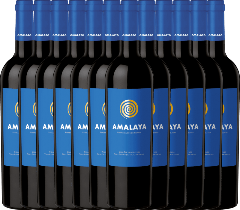 12er Vorteils-Weinpaket - Amalaya Tinto - Bodega Colomé