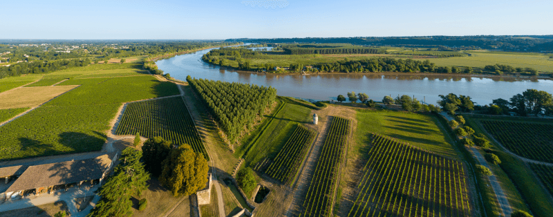 Garonnen panoraama Garonnen panoraama