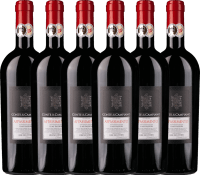 6er Vorteils-Weinpaket - Appassimento 2020 - Conte di Campiano
